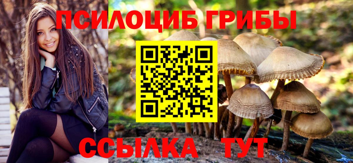 Узловая  Галлюциногенные грибы Cubensis  сколько стоит  Вход с VPN 